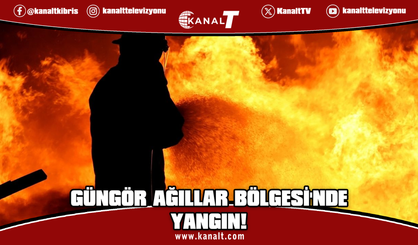 Güngör Ağıllar Bölgesi'nde yangın: Çok sayıda hayvan telef oldu, 2 kişi dumandan etkilendi