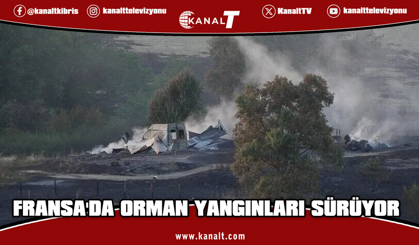 Fransa'daki 3 vilayette orman yangınları sürüyor