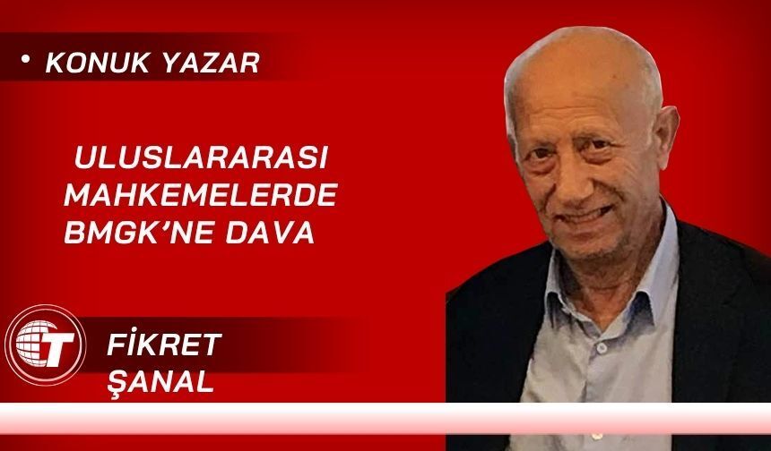 Uluslararası Mahkemelerde BMGK’ne Dava