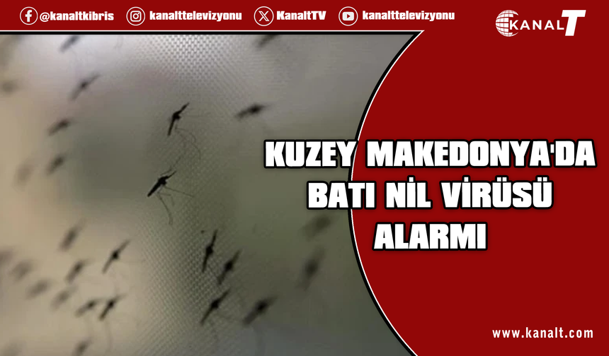 Kuzey Makedonya’da Batı Nil virüsü alarmı: 4 kişi hayatını kaybetti