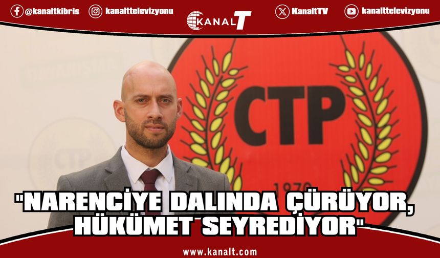 Gulamkadir: "Narenciyede Pembe Tablo Sahadaki Gerçekle Örtüşmüyor"