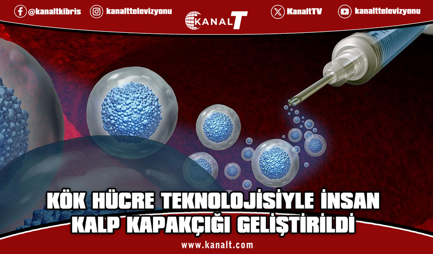 Avustralya'da kök hücreden, insandakine benzer kalp kapakçık dokuları üretildi