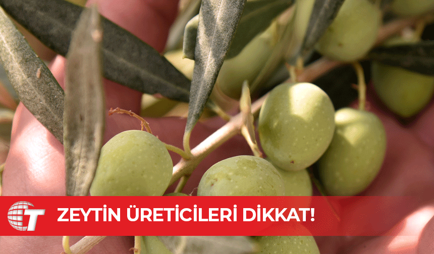 Zeytin ve zeytin ürünleri işletmelerinin kayıt ve onay zorunluluğu hatırlatıldı