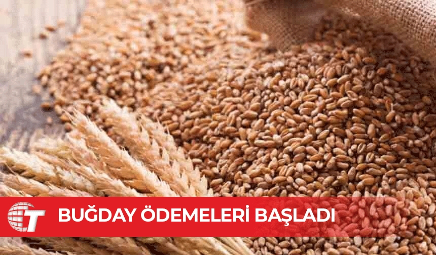 Bakanlık buğday ödemelerinin başladığını duyurdu