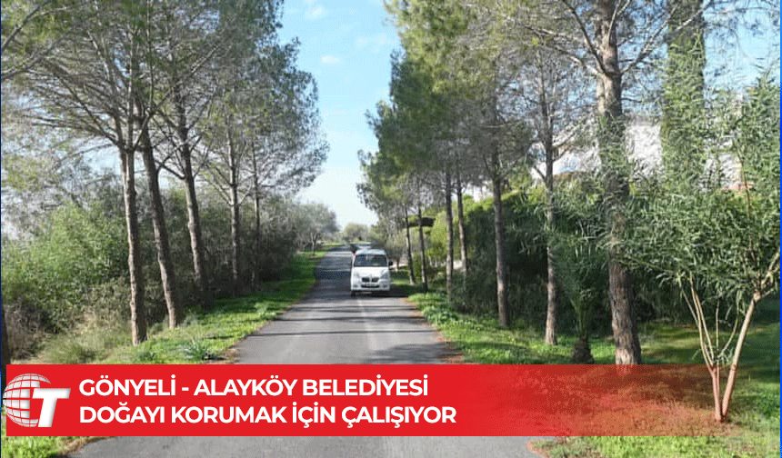 Gönyeli-Alayköy Belediyesi’nin çam kese böceğiyle mücadelesi sürüyor