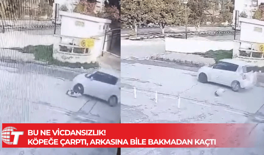 Süslü’ye çarpan sürücü olay yerinden kaçtı!