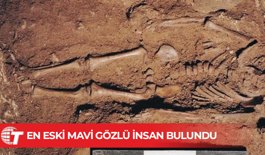 17 bin yıl önce doğan çocuk, mavi göze dair en eski kanıtı sundu