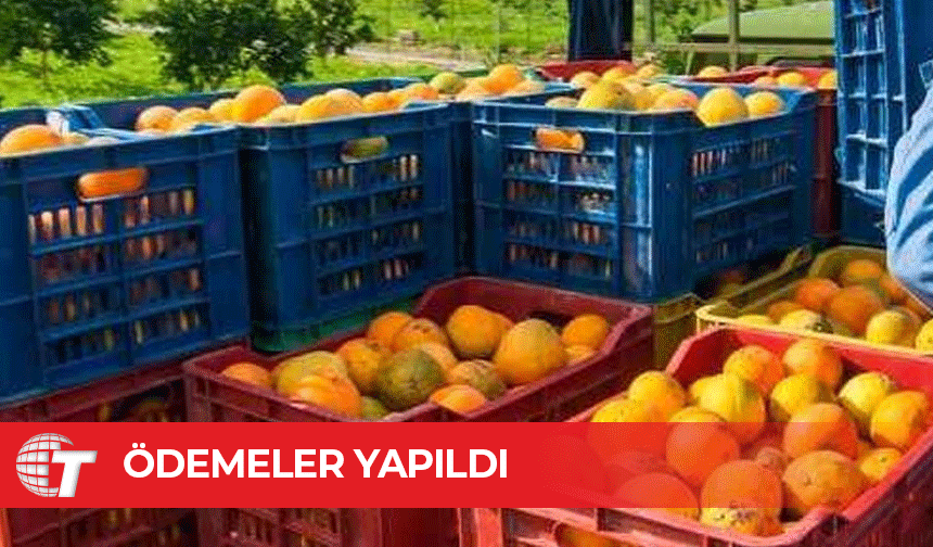 “Narenciye Tür Değişikliği” ödemesi yapıldı