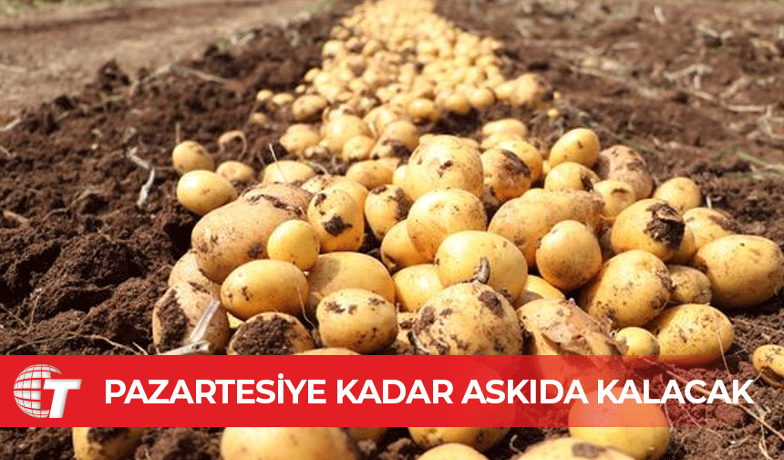 2024 İlkbahar Patates beyanlarına itirazlar pazartesiye kadar askıda kalacak