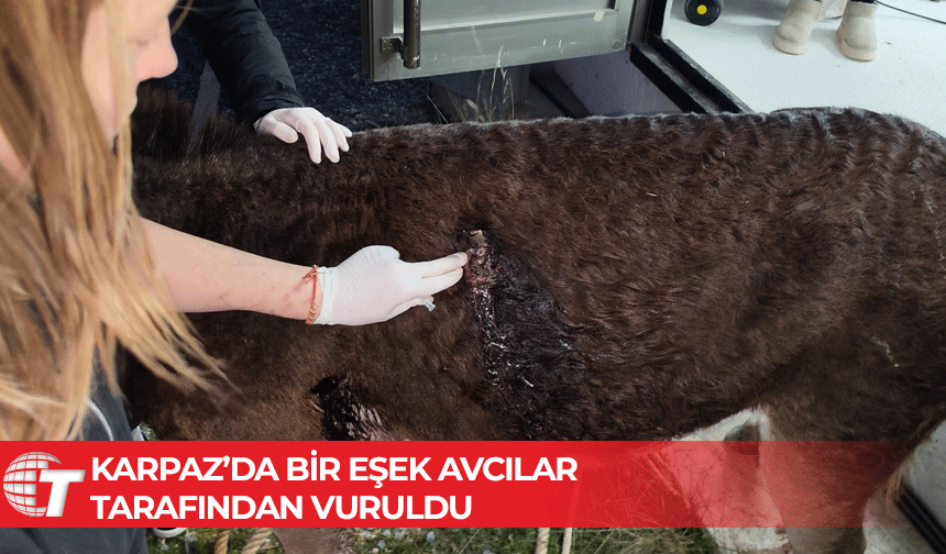 “Bu ‘insan’ görünümlü caniler avcıların arasında, temizleyemiyoruz”