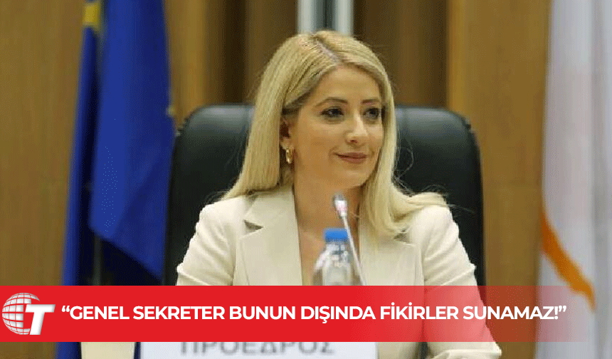 Annita Dimitriu: Ciddi inisiyatif alınması için 5 ya da 7 yıl daha bekleyemeyiz