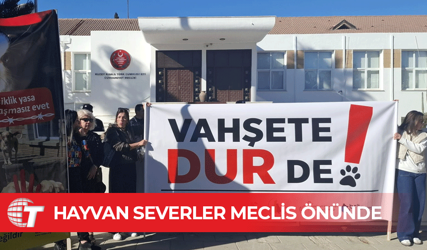 Hayvan severler Meclis önünde: Ceza (Değişiklik) Yasa Önerisine ‘evet’ de!