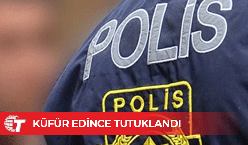 Güvenlik görevlisine küfür etti: 2 tutuklu