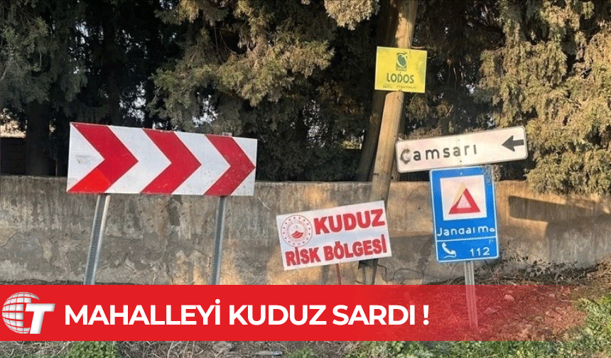 Hatay'da bir mahalle kuduz nedeniyle karantinaya alındı