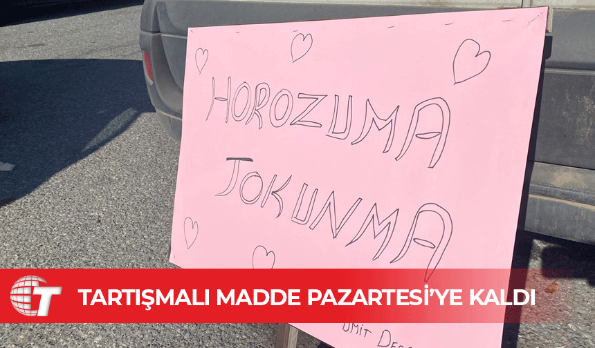 Ceza Yasası’ndaki hayvan dövüşleriyle ilgili değişiklik Pazartesi’ye kaldı!