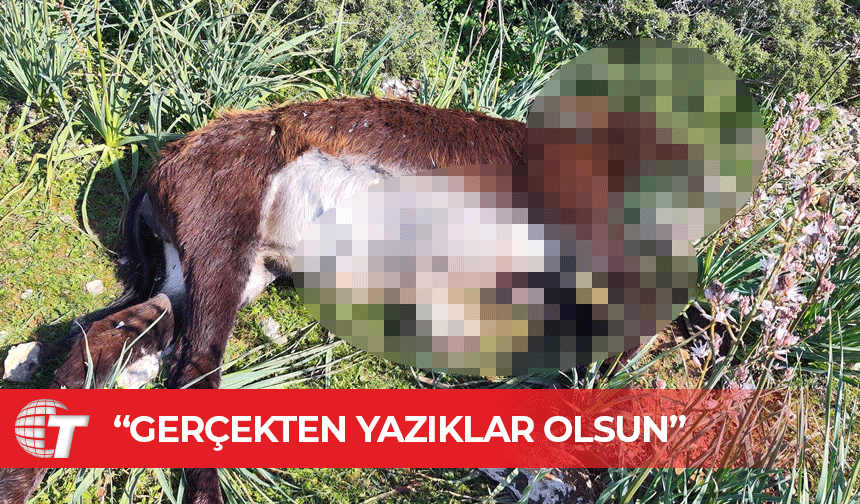 Kudret Özersay: Bu yapılan insanlıkla bağdaşmaz