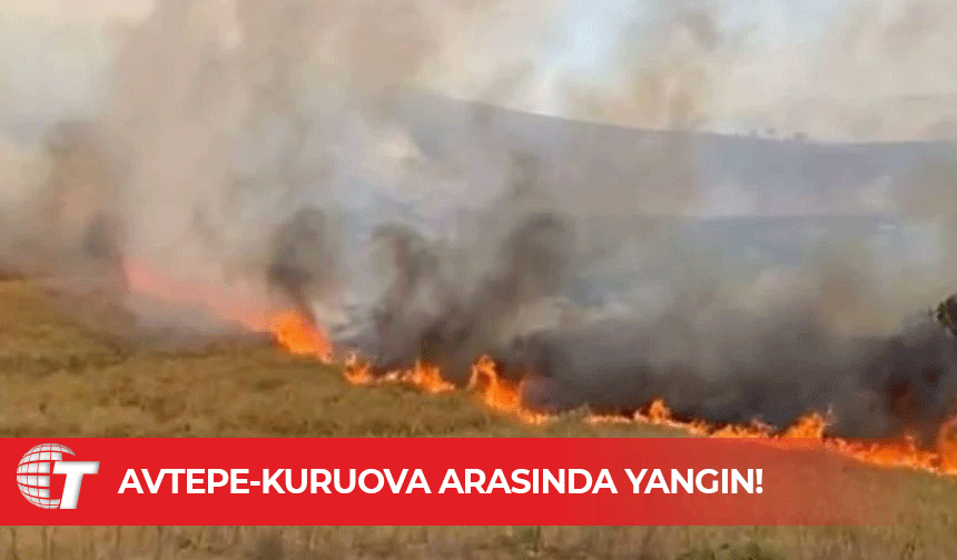 İtfaiye ekipleri ve vatandaşlar yangını kontrol altına almaya çalışıyor