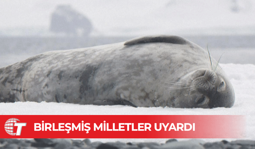 2029’a kadar 1,5 derece sıcaklık eşiğini aşma ihtimali yüzde 70