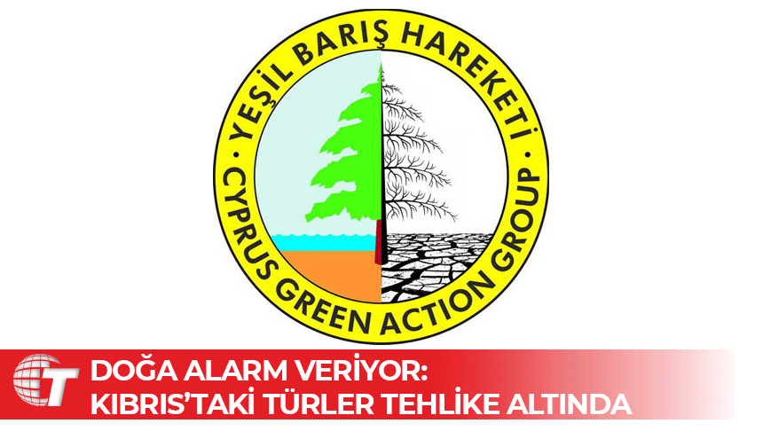 Yeşil Barış Hareketi: Biyoçeşitlilik kıyametini durdurmalıyız