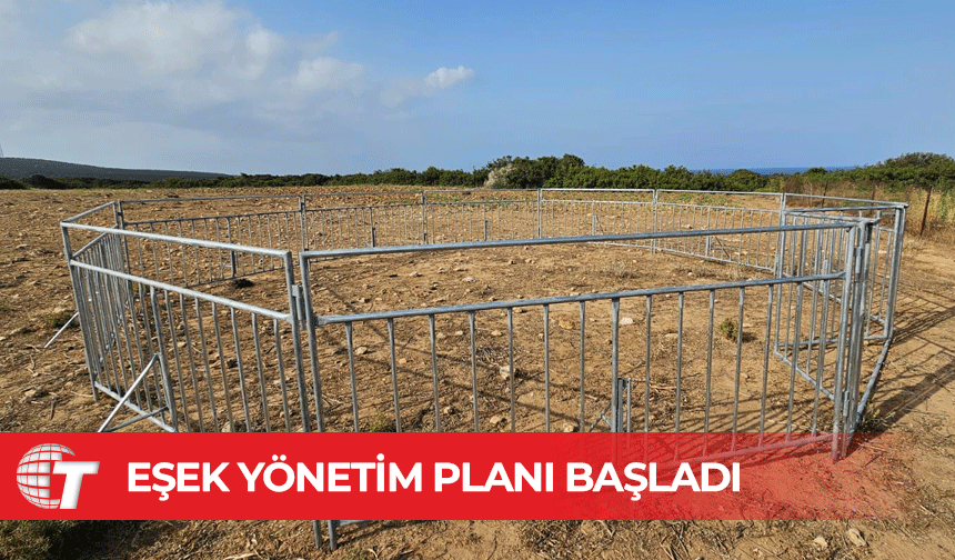 Karpaz’da Eşek Yönetim Planı Başladı