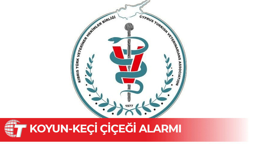 Veterinerler kurallara uyulması için çağrı yaptı