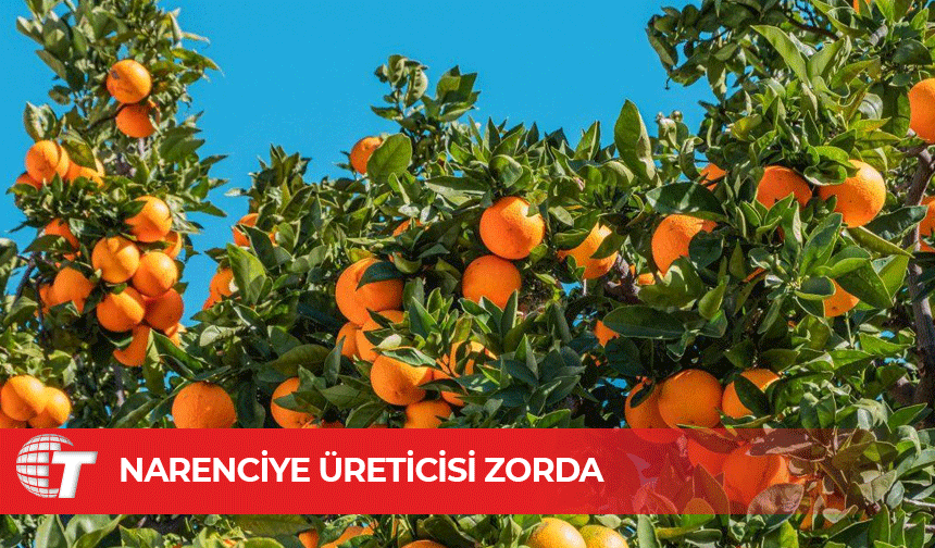Kuraklık, borç, ödenmeyen ürün bedelleri…