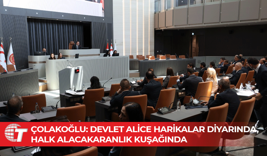 Şifa Çolakoğlu: Tuz da koktu, dingil de koptu!