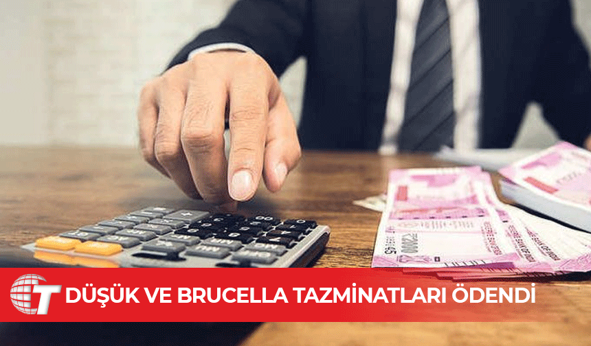 Düşük ve Brucella tazminatları, üreticilere ödendi