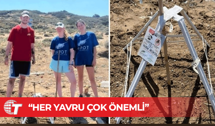 2025’in ilk Caretta Caretta yuvası Mersinlik Sahili’nde bulundu