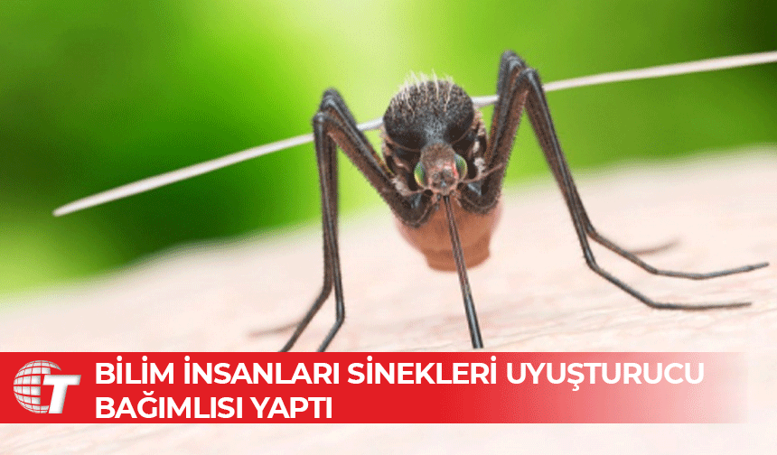 Yeni tedavilere kapı aralanıyor