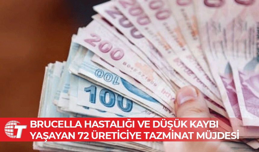Üreticiye Brucella ve düşük zararı için 682 bin TL tazminat ödendi