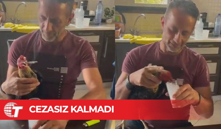 Horoza sigara ve rakı içiren şahsa 4 asgari ücret ceza