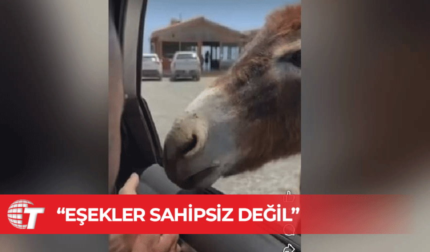 Taşkent Doğa Parkı harekete geçti!
