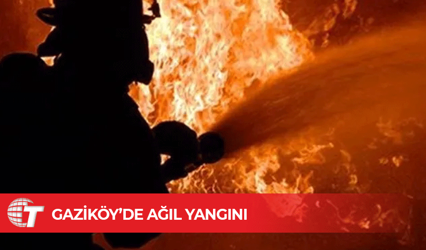 450 rulo balya küle döndü