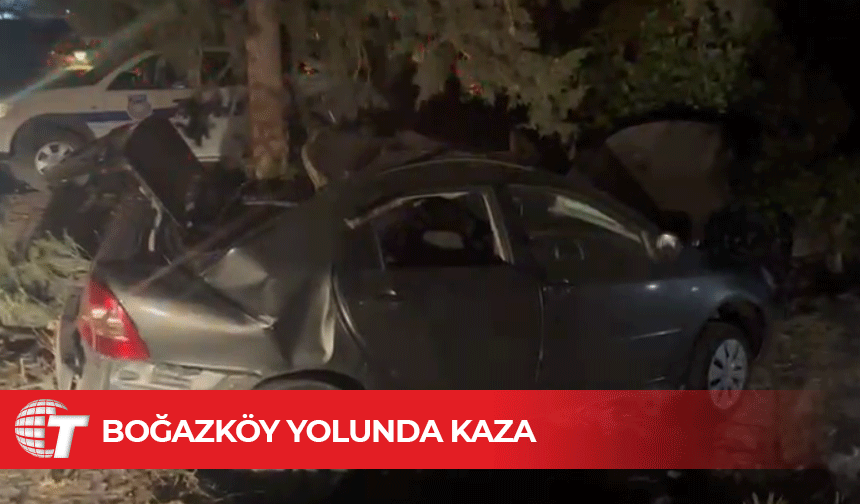 Araç ağaca çarptı, bir kişi yaralandı