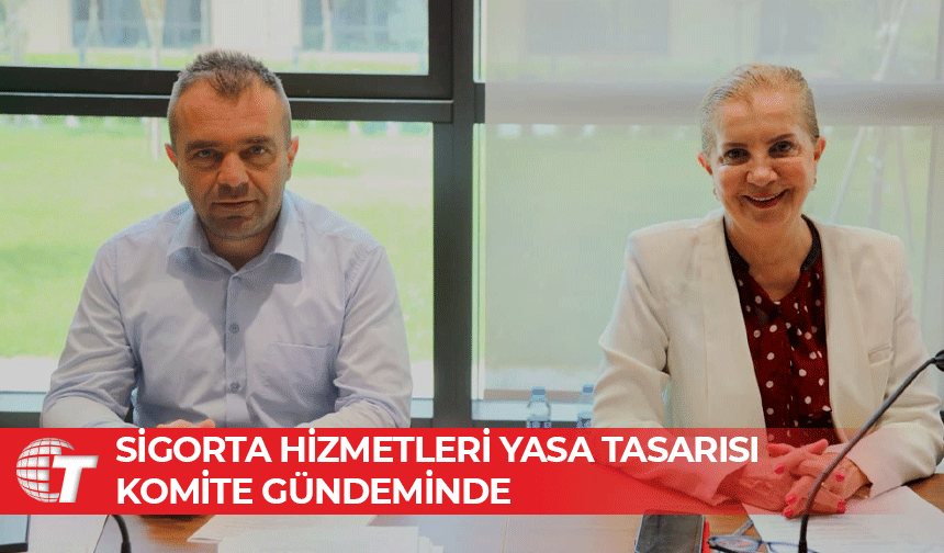 Meclis Komitesi, sigorta düzenlemelerini görüşmeye devam ediyor