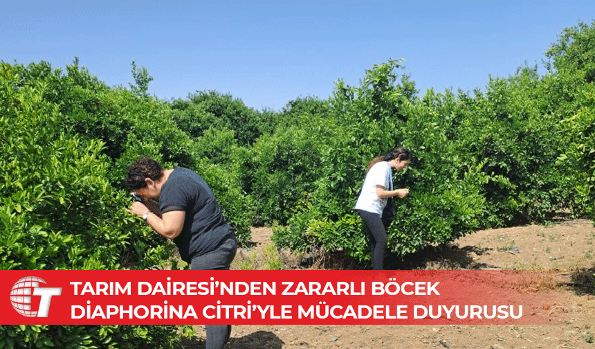 “Kimyasal mücadele yapacak üreticiler Tarım Dairesi’ne bilgi vermeli”