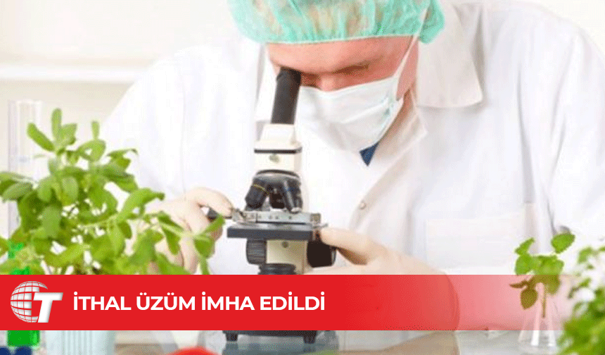 Üç yerli üründe limit üstü, bir üründe tavsiye dışı bitki koruma ürünü tespit edildi
