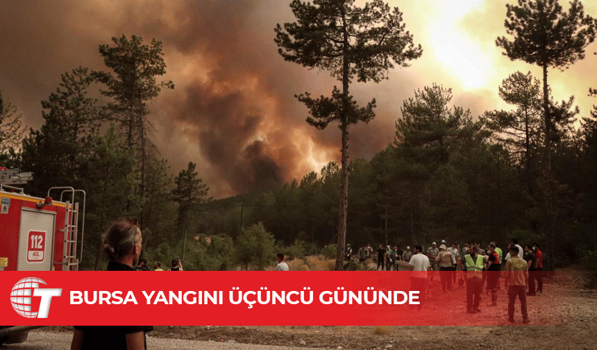Bursa'daki orman yangınına müdahale sürüyor