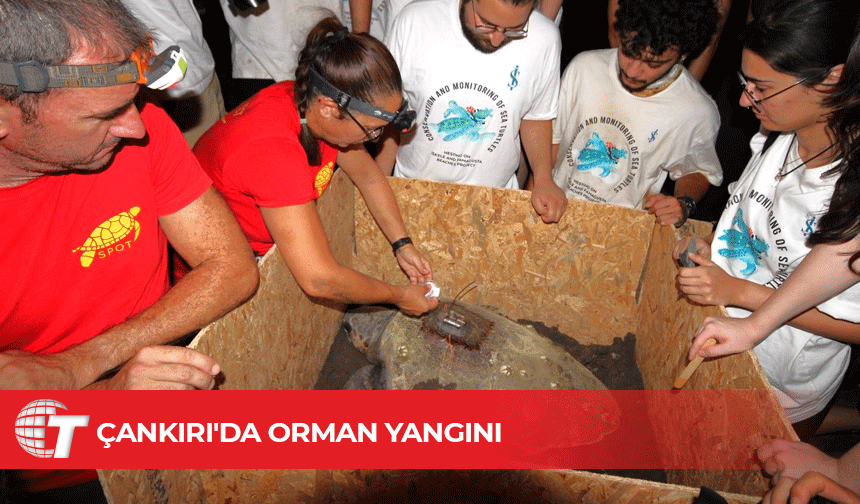 Ekipler havadan ve karadan müdahale ediyor