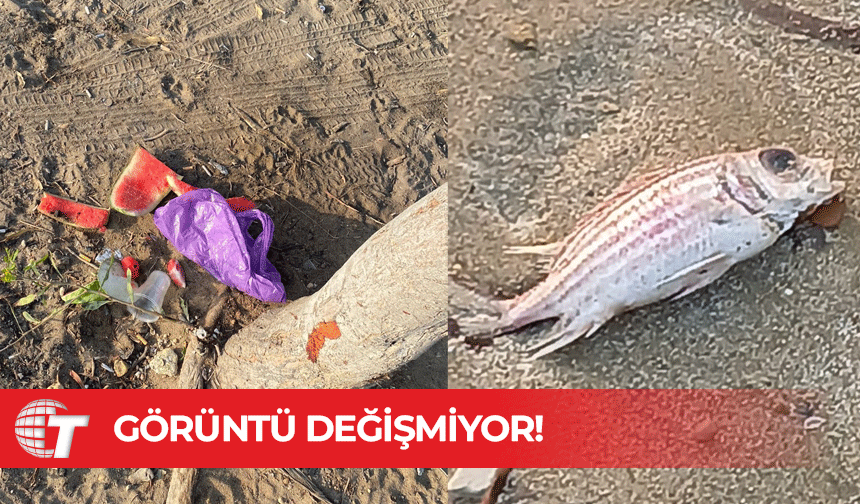 Günde iki kez yapılan sahil temizliği, görüntüyü değiştirmiyor...