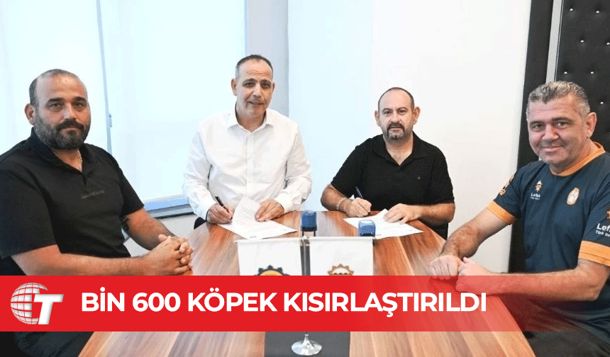 LTB ve Veteriner Hekimler Birliği'nden sokak hayvanları için yeni protokol