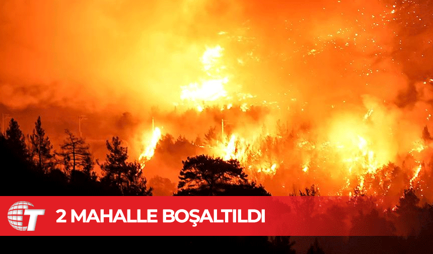 Bursa-Balıkesir sınırında orman yangını