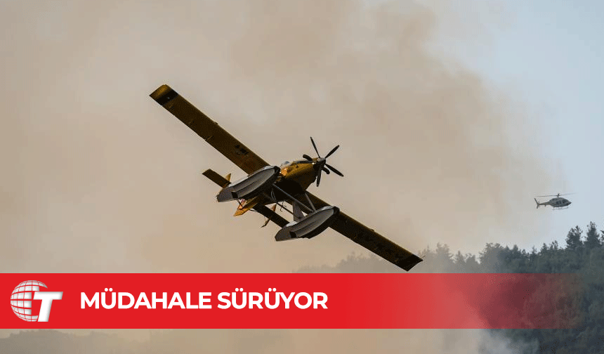 Bursa'daki orman yangınında 5.gün: Havadan ve karadan müdahale devam ediyor