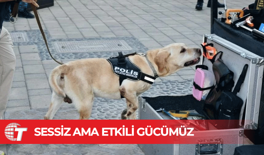 4 ayrı branşta 26 dedektör köpek mevcut: Dedektör köpekler sessiz ama etkili gücümüz