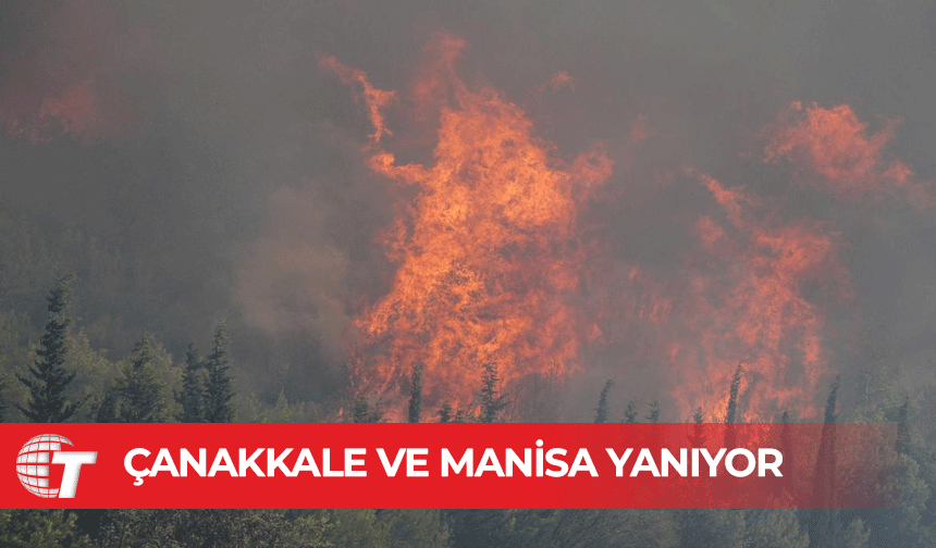 Çanakkale ve Manisa'da orman yangınlarına müdahale sürüyor