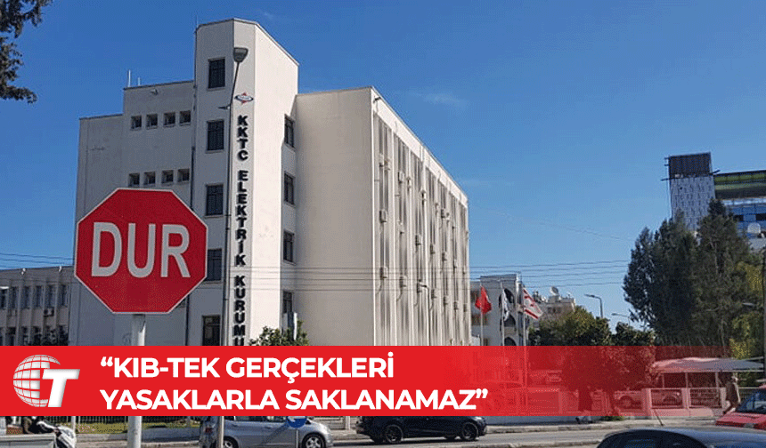 EL-SEN elektrik kesintilerini duyuran internet sitesine getirilen yayın yasağını eleştirdi