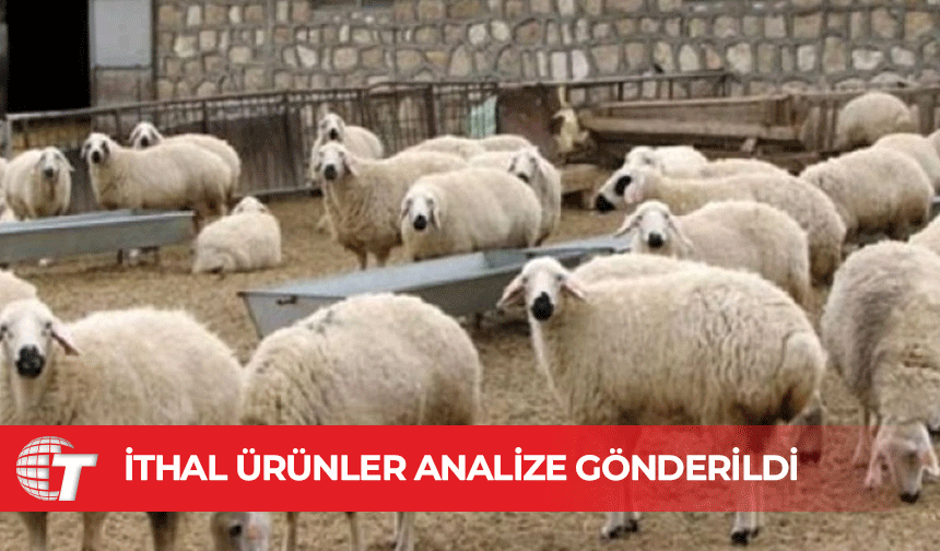 Veteriner Dairesi’nden denetim