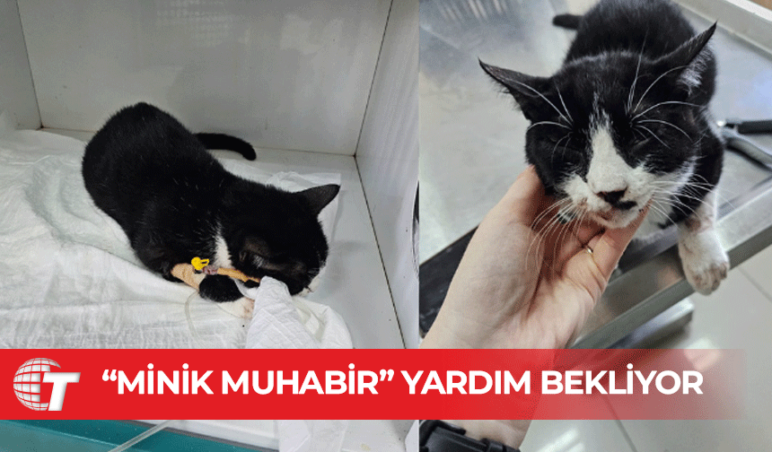 “Minik Muhabir” için yardım çağrısı
