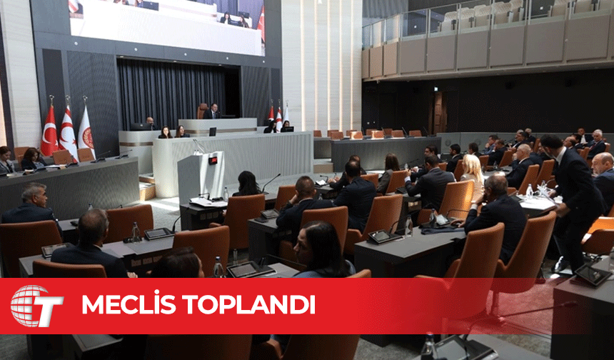 Meclis Genel Kurulu denetim gündemiyle toplandı